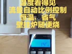 壁挂炉压力阀失效的解决方法（保持壁挂炉压力阀正常工作）