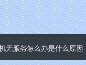 苹果手机突然失去信号原因分析（探究苹果手机失去信号的可能原因及解决方法）