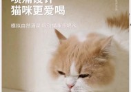 如何引导猫猫喝水？有效方法有哪些？