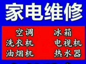 解决西门子冰箱漏氟故障的有效方法（原因分析及维修技巧全面解析）