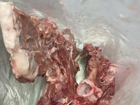 野猪肉怎么做才美味？分享六种创意烹饪方法？