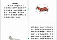 台风命名有哪些国际规则？命名规则背后的故事是什么？