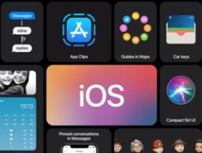 iOS14新功能（将门卡复制功能带入你的手机）