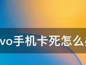 解除vivo账户密码的强行方式（终极解决办法让你重新获得vivo账户控制权）