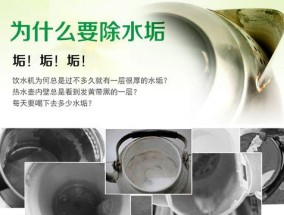 自制热水器水垢清洗方法（简单高效的DIY热水器水垢清洗方法）