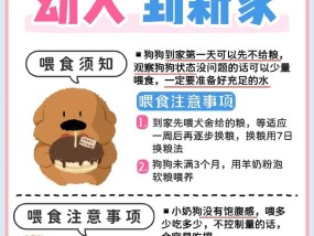 幼犬到家养护须知？如何正确照顾新来的幼犬？