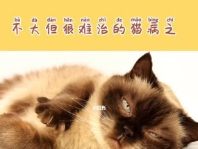 杀死猫咪耳螨的小妙招（轻松解决猫咪耳螨问题的有效方法）