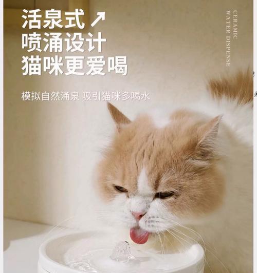 如何引导猫猫喝水？有效方法有哪些？  第1张