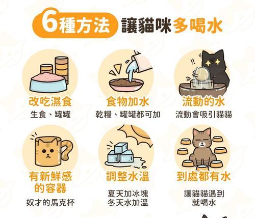 如何引导猫猫喝水？有效方法有哪些？  第2张