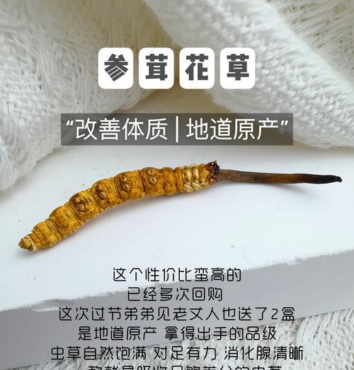 冬虫夏草真假怎么辨别？如何确保购买到正品？  第1张