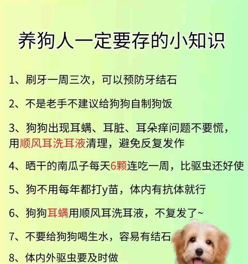 如何有效杀死猫咪耳螨？这些小妙招你知道吗？  第1张