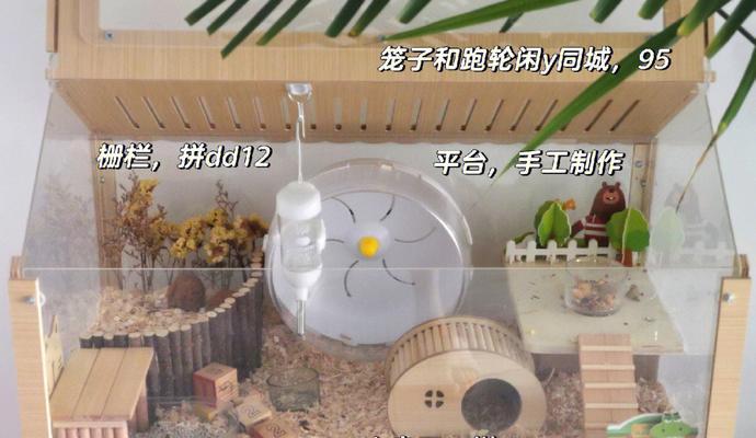 如何制作仓鼠的房子？需要哪些材料和步骤？  第2张