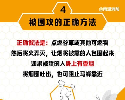 毒虫蛰伤了怎么办？急救处理方法有哪些？  第2张