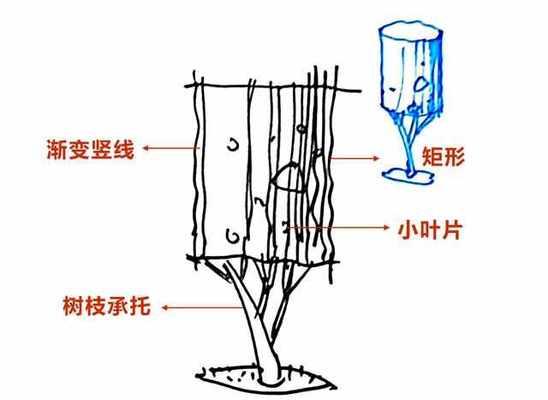 树干为何呈圆柱形？揭秘自然界的工程学奥秘？  第3张