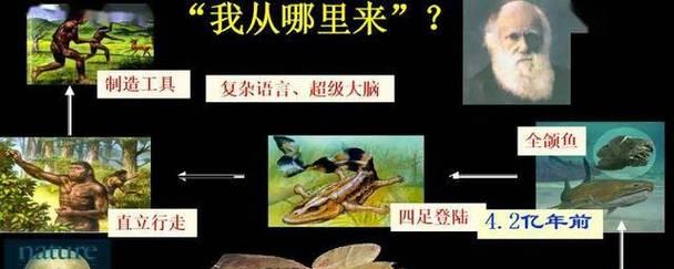 人类起源史讲解？探索人类起源的奥秘和历史进程是什么？  第1张