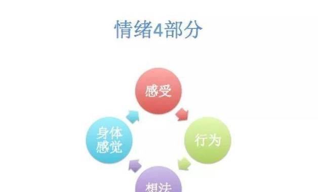 如何提高情商？掌握这十个方法让你更受欢迎  第2张