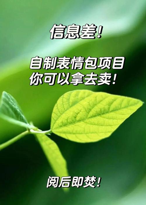 如何自制表情包？详细步骤是什么？  第3张