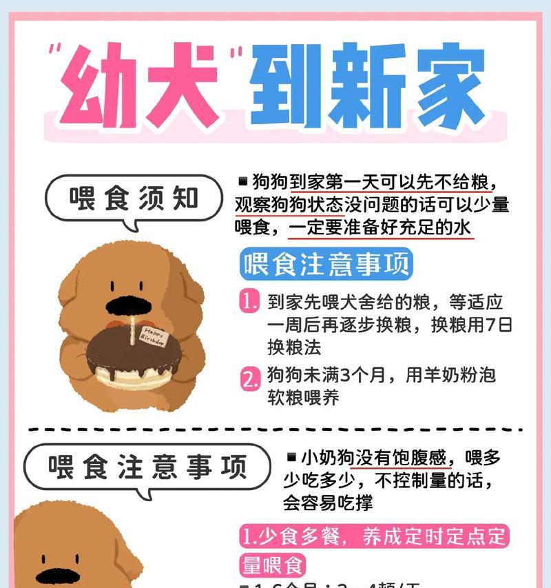 幼犬到家养护须知？如何正确照顾新来的幼犬？  第1张